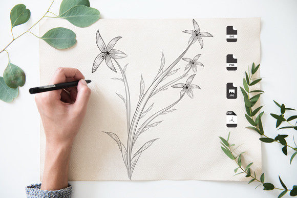 Download Botanical Black and White Coloring Pages - Black and white coloring Collection